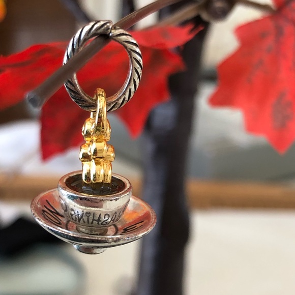 Brighton Washington state charm - Picture 9 of 15